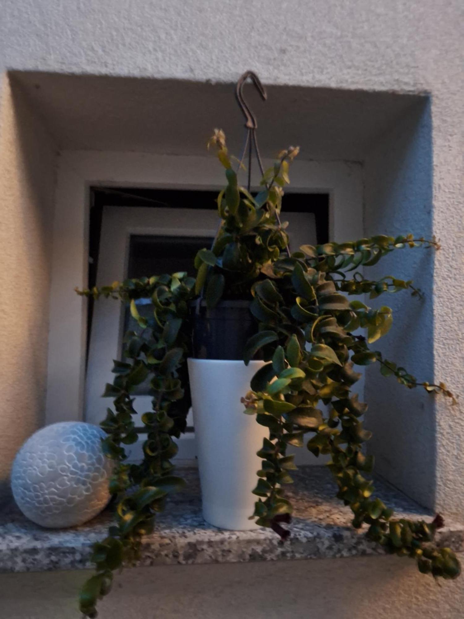 Studio Apartmani Louis I Lola Zagreb Exterior foto
